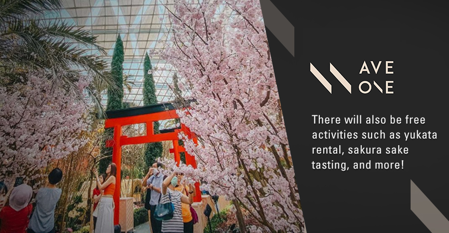 Anda sekarang dapat melihat bunga sakura di Singapura tanpa harus melakukan perjalanan ke Jepang!